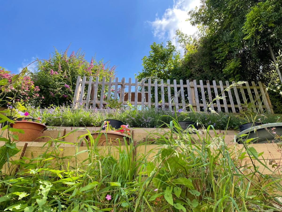 Tilly'S Cottage Westbury  Luaran gambar
